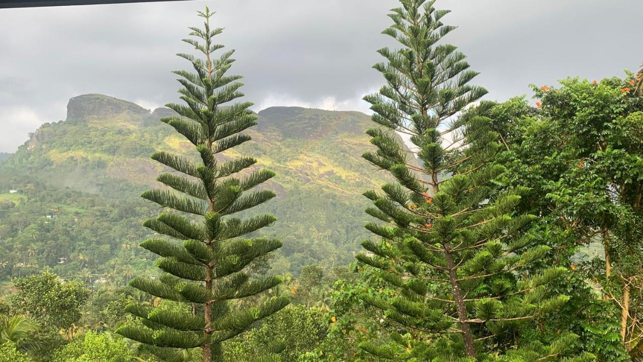 Sceva'S Garden Home Munnar Exterior foto