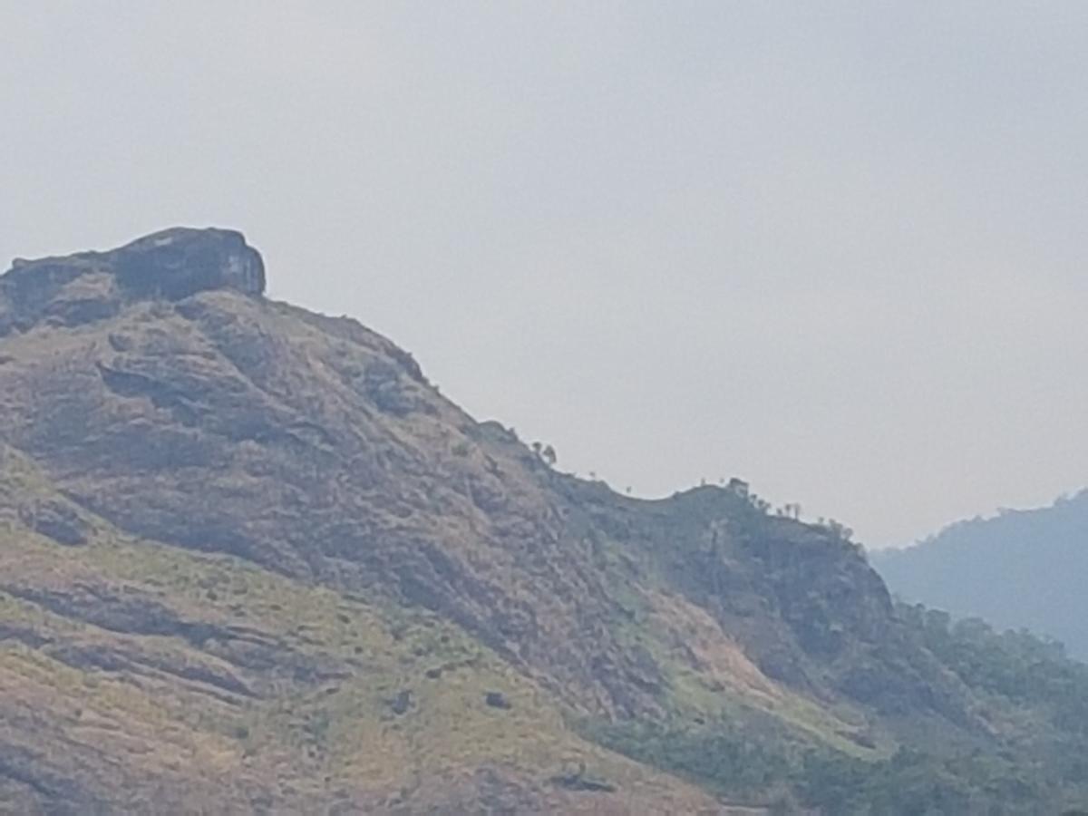 Sceva'S Garden Home Munnar Exterior foto
